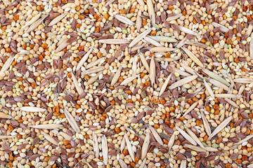 Groats mixture as background