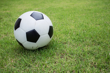 Fototapeta na wymiar soccer ball on green grass
