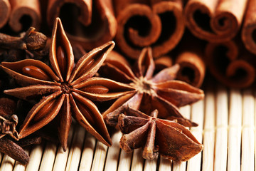 Carnation with cinnamon sticks and star anise