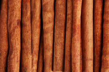 Cinnamon sticks close up