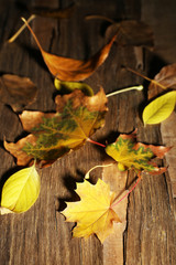 Beautiful autumn leaves on wooden background