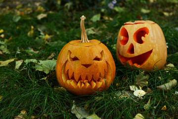 Pumpkins for holiday Halloween on grass background