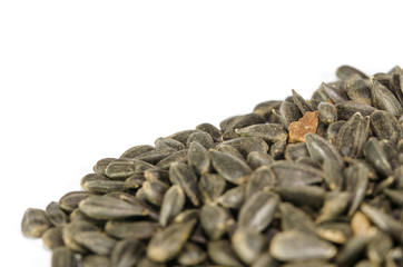 sunflower seeds