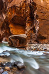 Glowing Sandstone wall, The Narrows, Zion national park, Utah
