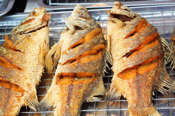 Fried fish in the plate