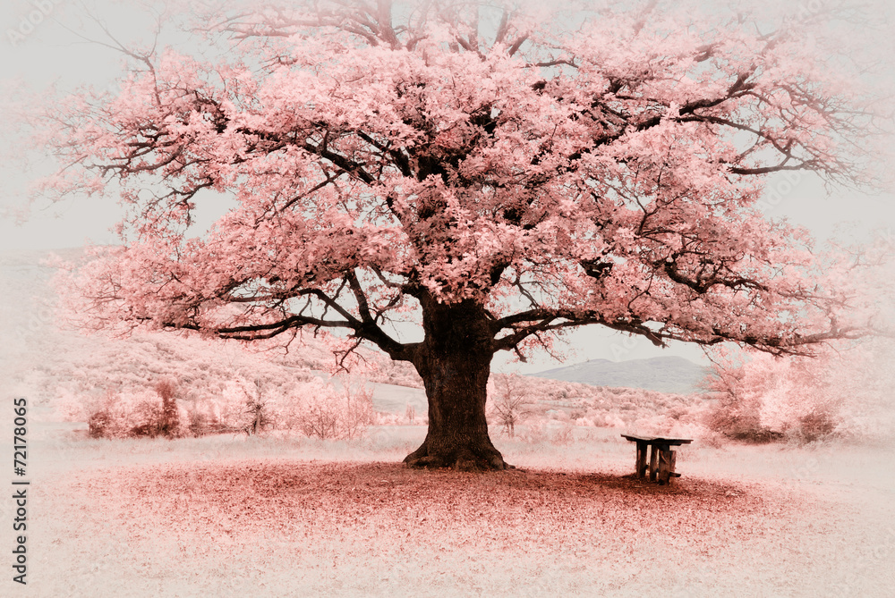 Poster infrared big tree