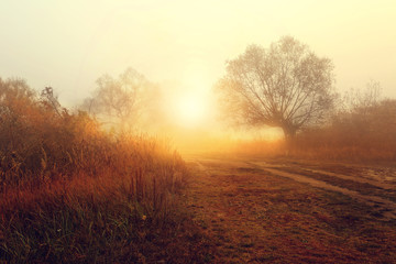 Fototapeta na wymiar charming rural landscape in the morning