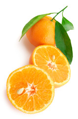 Fresh tangerines