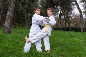 Naklejka na ściany i meble Two kids practicing judo outdoors in a park.