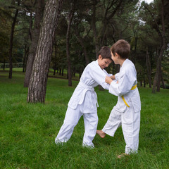 Two kids practicing judo outdoors in a park.