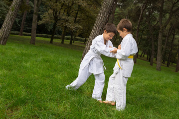 Two kids practicing judo outdoors in a park.