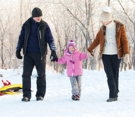 Fototapeta na wymiar Family walking in a winter park
