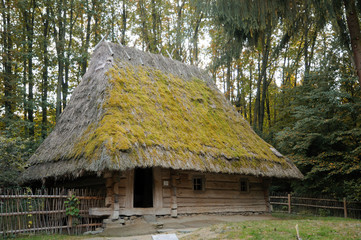 Fototapeta na wymiar Old wooden hut