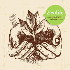 Sketch ecology vintage background. Hand drawn vector