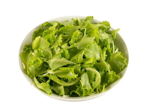 lettuce in a bowl isolated on white