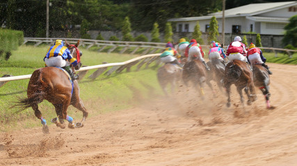 A racehorse and jockey in a horse race