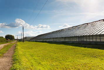 Obraz premium greenhouse vegetable production