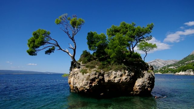 Brela Strand Taucher vid 01
