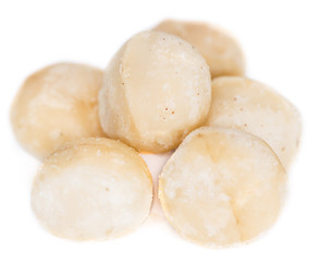 Fototapeta na wymiar Macadamia nuts (isolated on white)