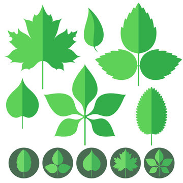 Leaf. Icon Set
