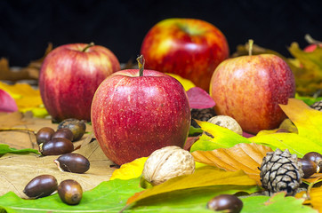 Autumn background © Jan Herodes