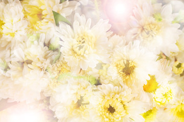 Fototapeta na wymiar white flowers bouquet and bokeh background.