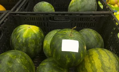 watermelon