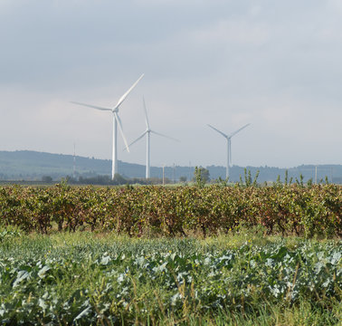 &Eacute;oliennes