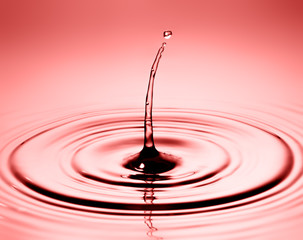 Water drop close up