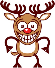 Fototapeta premium Funny Xmas reindeer feeling embarrassed