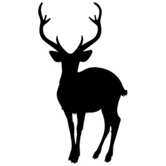 Obraz premium deer silhouette