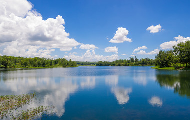 Obraz na płótnie Canvas River with blue sky and cloud.
