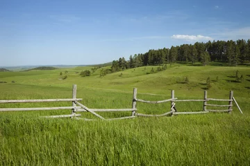Printed roller blinds Hill Rail fence and hills with pines in Montana