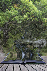 Waterfall long exposure landscape image in Summer in forest sett