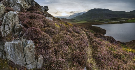Stunning sunrise panorama landscape of heather with mountain lak