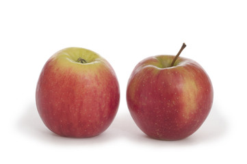 Apfel Arlet, beliebte Bio-Apfelsorte