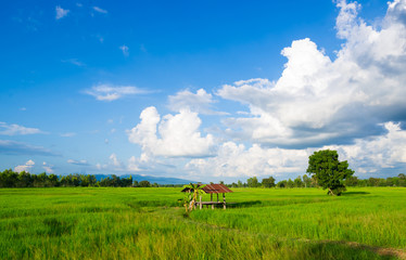 Thai traditional hut