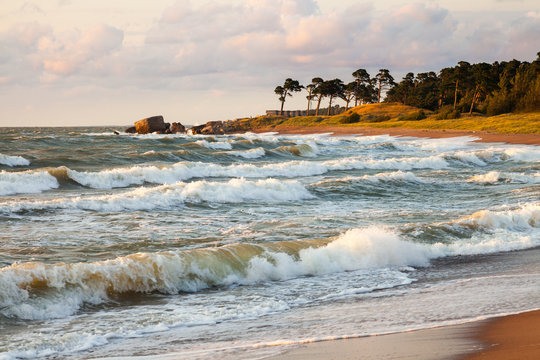 Baltic shore
