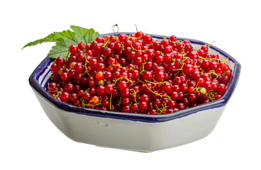 Red currant