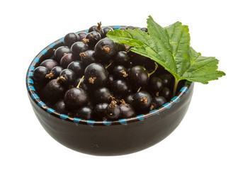 Black currant