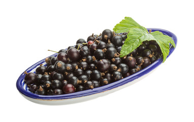 Black currant