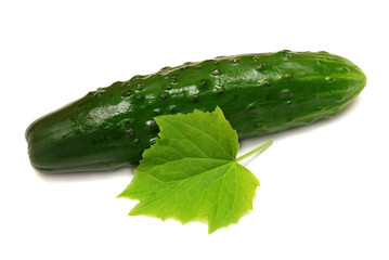 Ripe cucumber and a leaf
