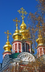 Novodevichy convent in Moscow