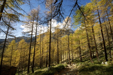 Autunno in Val d'Ayas