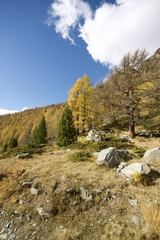 Autunno in Val d'Ayas