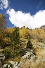 Autunno in Val d'Ayas