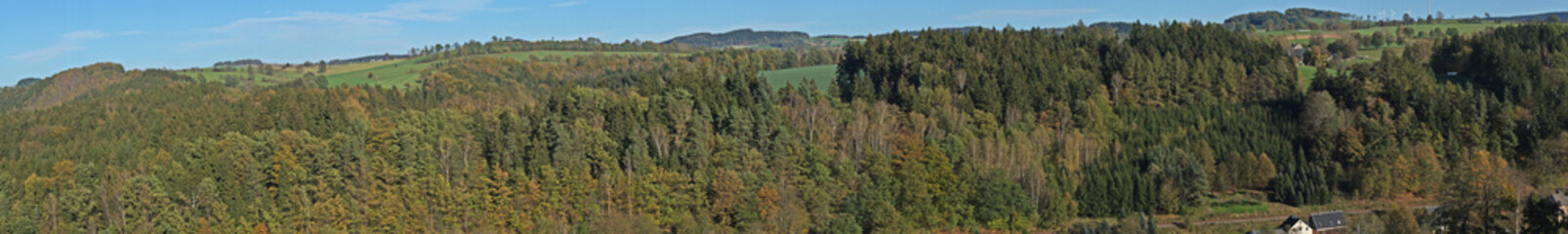 Herbstwald im Erzgebirge in Sachsen
