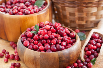 Fresh red cranberry