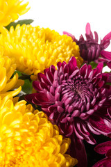 grave  flowers isolated on white