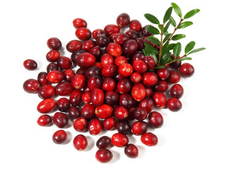 Cranberries